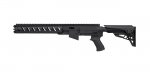 AR-22 Stock Ruger 10/22