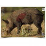 Måltavla 3-pack - Vildsvin-självmarkerande.
