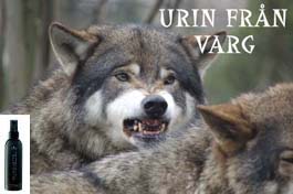 Åter i lager