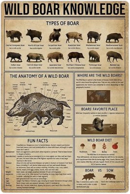 Plåtskylt - Wild Boar Knowledge
