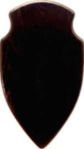 Trofesköld Älg Svart 44x25