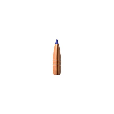 Barnes TTSX 22 (.224") 55gr