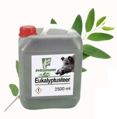 Vildsvinstjära med eucalyptus